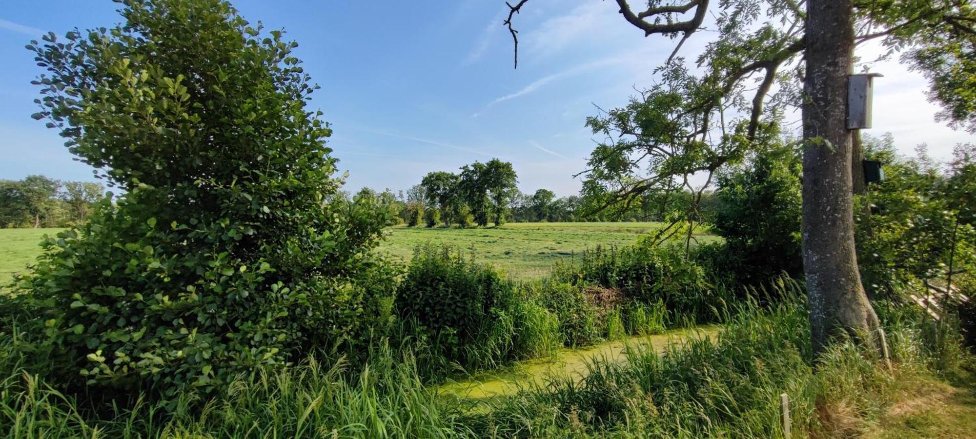 Chalet In Het Groen Met Airco Drachtstercompagnie Buitenkant foto